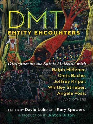 cover image of DMT Entity Encounters
